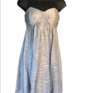 EXPRESS NWT Silky Strapless Dress.  Size 2